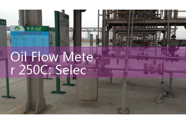 Oil Flow Meter 250C: Selecting Durable Gaskets for Industrial Boiler Feeds